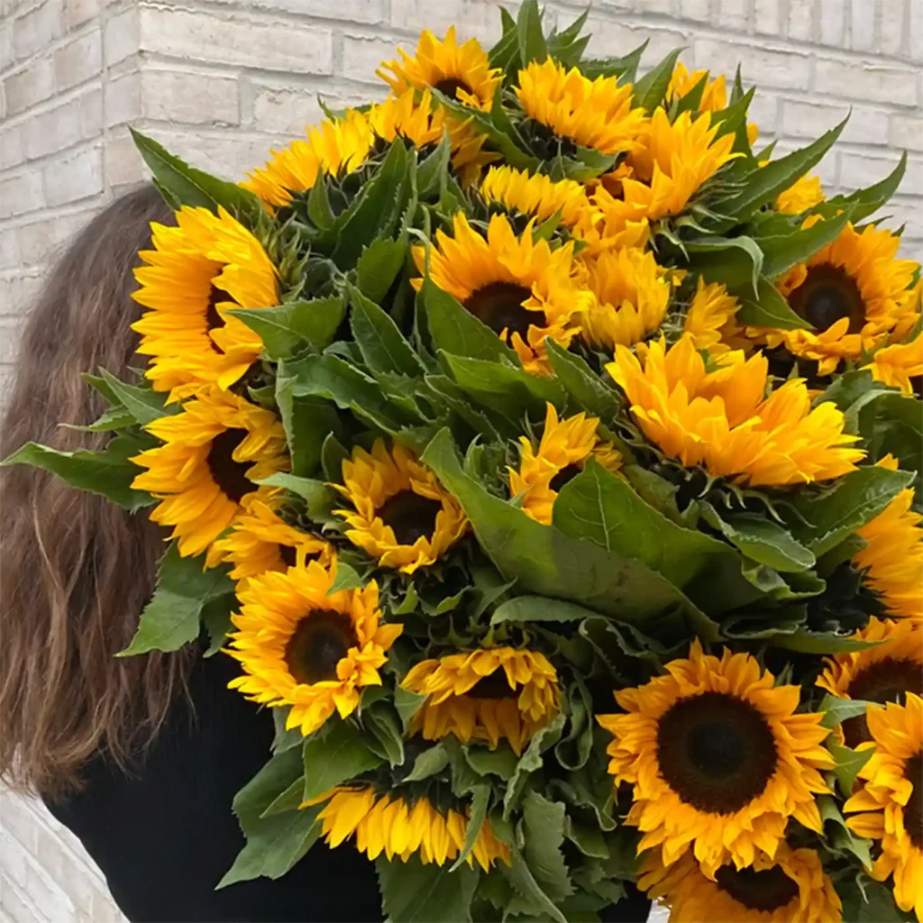 Uanset om du besøger blomsterbutikken i Ceresbyen eller på Aarhus Ø, har vi afskårne blomster, du kan lave fantastiske buketter af. Billige blomster. Moderne buketter.